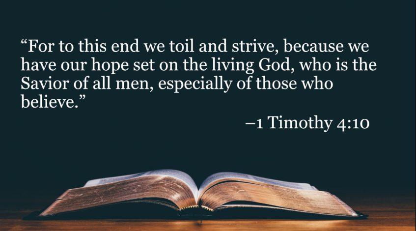 your daily bible verses 1 timothy 410